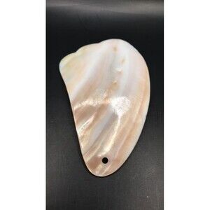 Shell Gua Sha - Face Massager